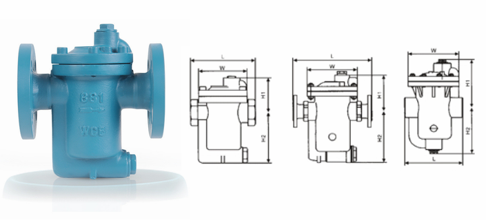 日本欧美久久久久免费播放网