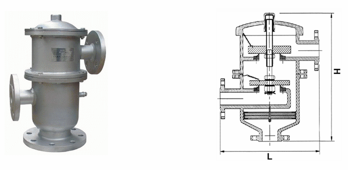 日本欧美久久久久免费播放网