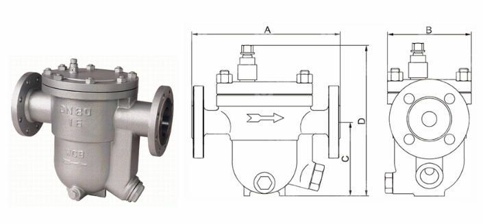 日本欧美久久久久免费播放网