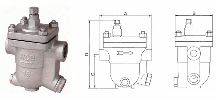 日本欧美久久久久免费播放网