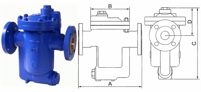 日本欧美久久久久免费播放网