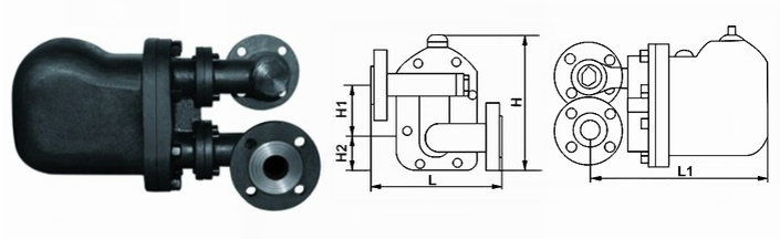 日本欧美久久久久免费播放网