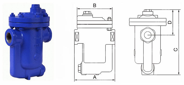 日本欧美久久久久免费播放网