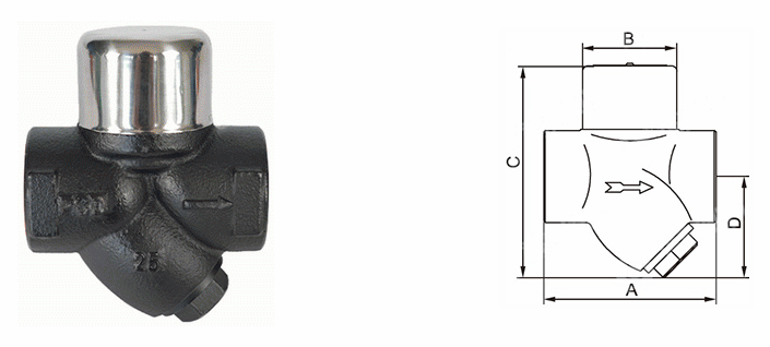 日本欧美久久久久免费播放网