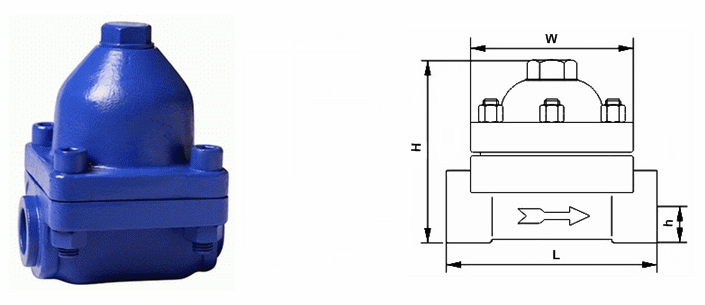 日本欧美久久久久免费播放网