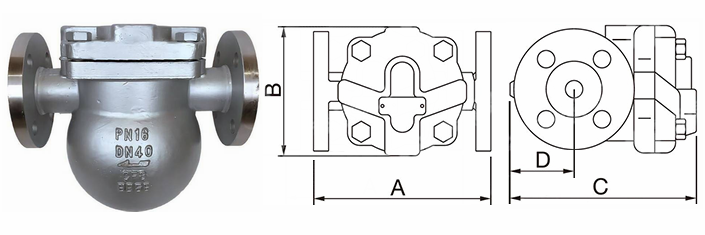 日本欧美久久久久免费播放网