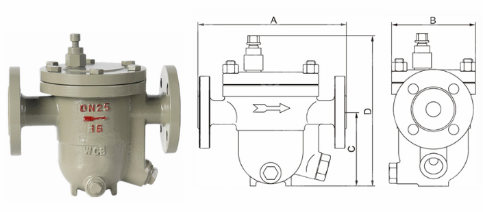 日本欧美久久久久免费播放网