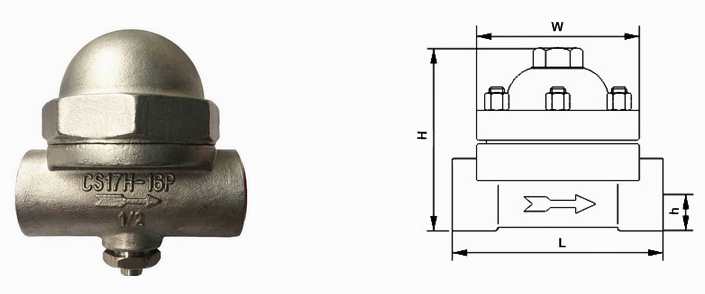 日本欧美久久久久免费播放网