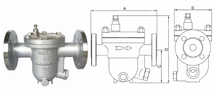 日本欧美久久久久免费播放网