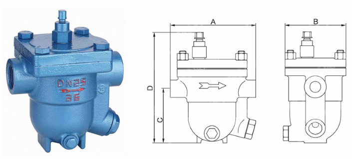 日本欧美久久久久免费播放网
