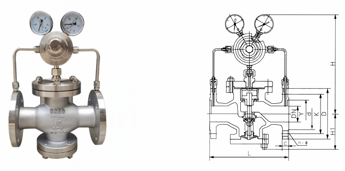 日本欧美久久久久免费播放网