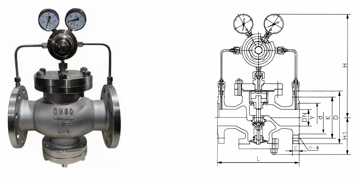 日本欧美久久久久免费播放网