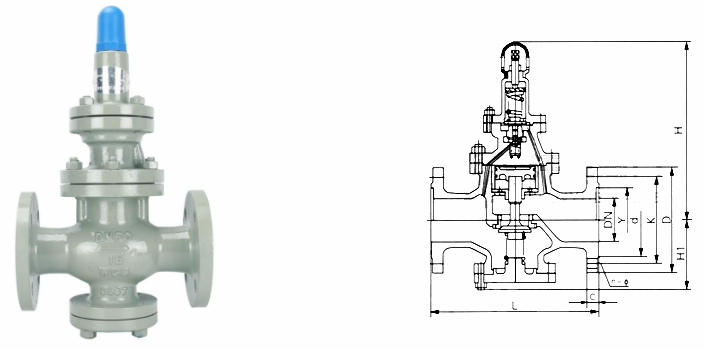 日本欧美久久久久免费播放网