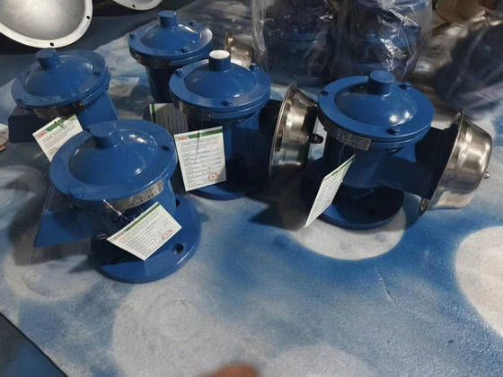 日本欧美久久久久免费播放网