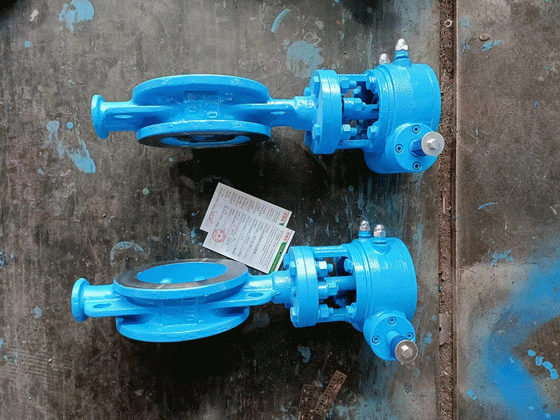 日本欧美久久久久免费播放网