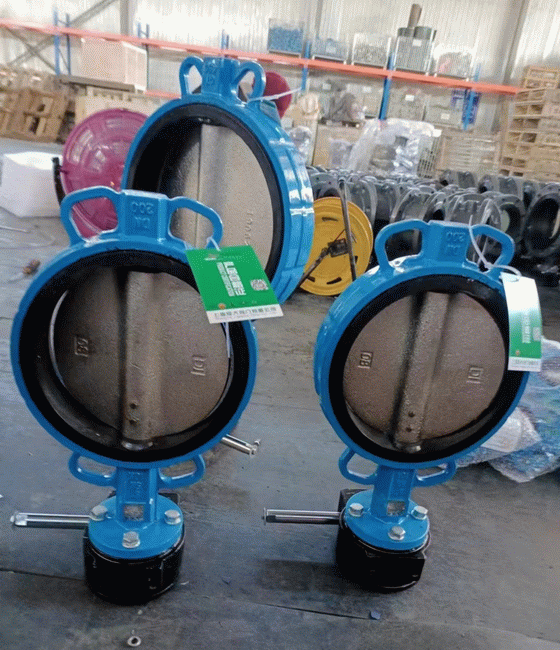 日本欧美久久久久免费播放网