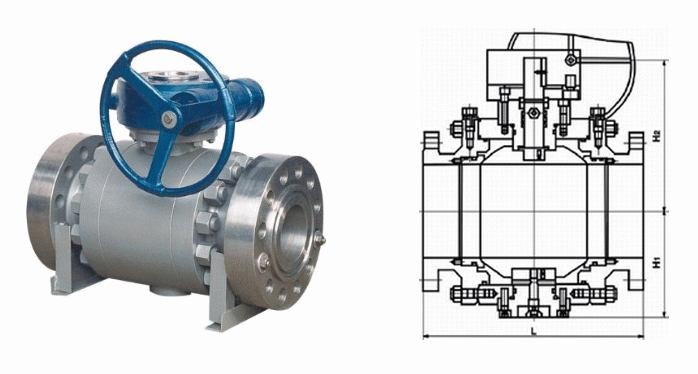 日本欧美久久久久免费播放网