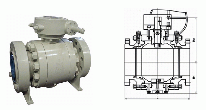 日本欧美久久久久免费播放网