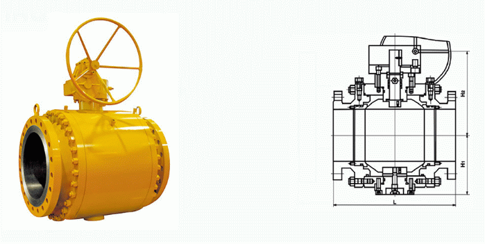 日本欧美久久久久免费播放网