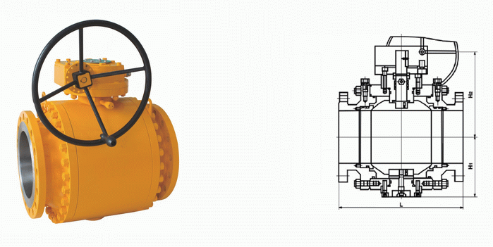 日本欧美久久久久免费播放网