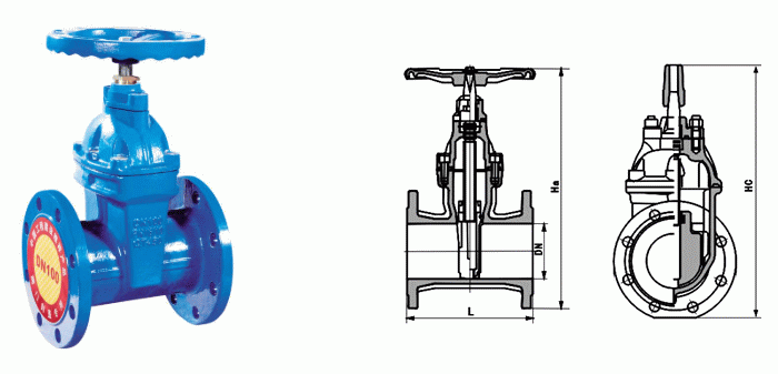 日本欧美久久久久免费播放网