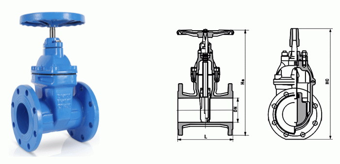 日本欧美久久久久免费播放网