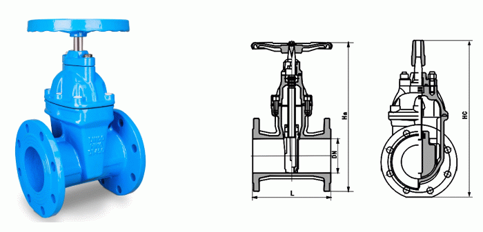 日本欧美久久久久免费播放网