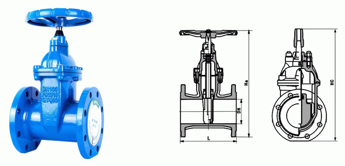 日本欧美久久久久免费播放网