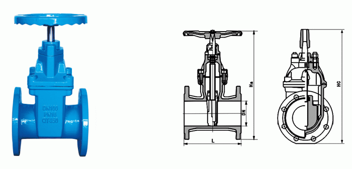 日本欧美久久久久免费播放网