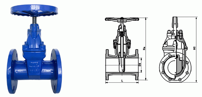 日本欧美久久久久免费播放网