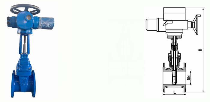 日本欧美久久久久免费播放网