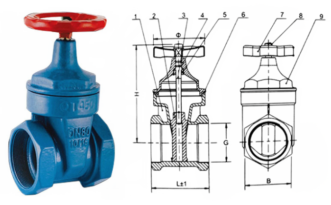 日本欧美久久久久免费播放网