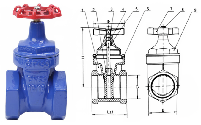 日本欧美久久久久免费播放网