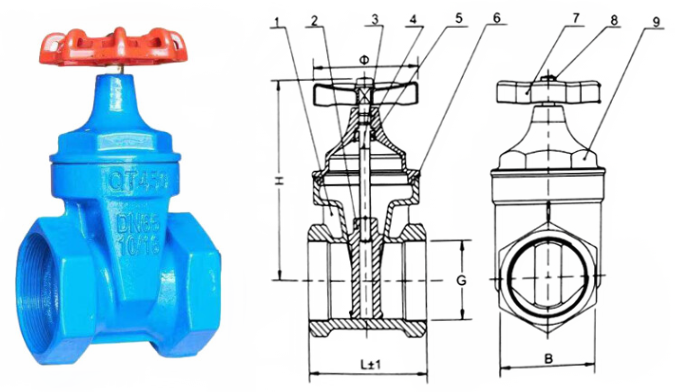 日本欧美久久久久免费播放网