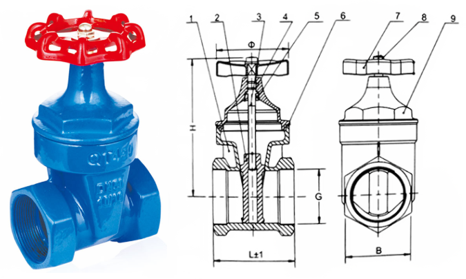 日本欧美久久久久免费播放网