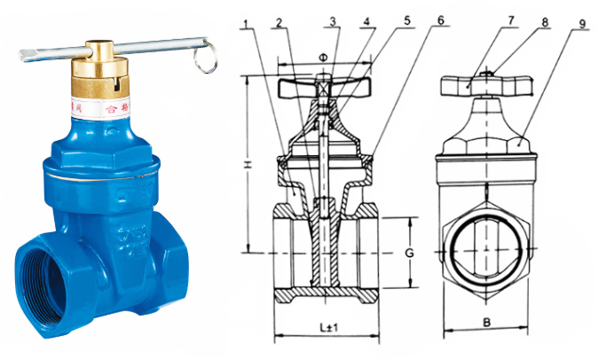 日本欧美久久久久免费播放网