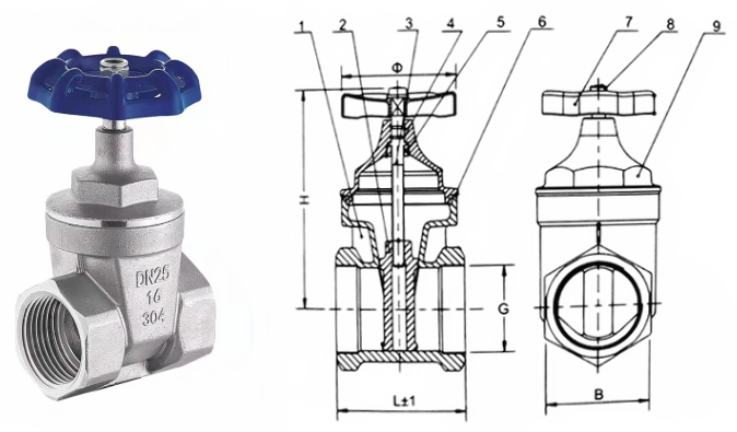 日本欧美久久久久免费播放网