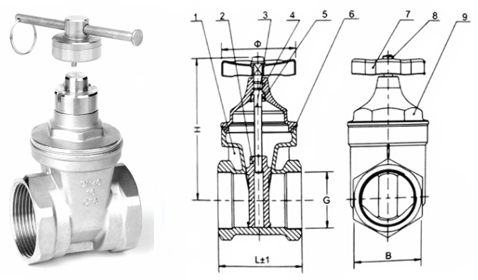 日本欧美久久久久免费播放网