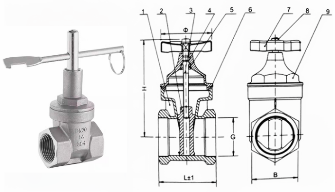 日本欧美久久久久免费播放网