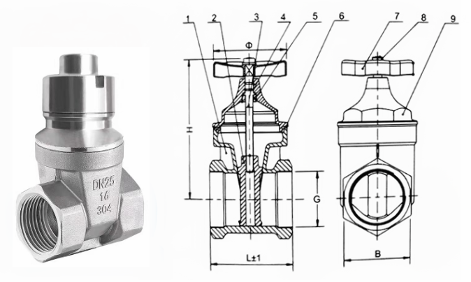 日本欧美久久久久免费播放网