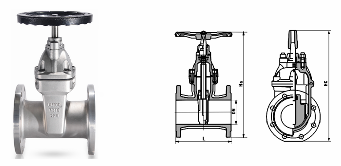 日本欧美久久久久免费播放网