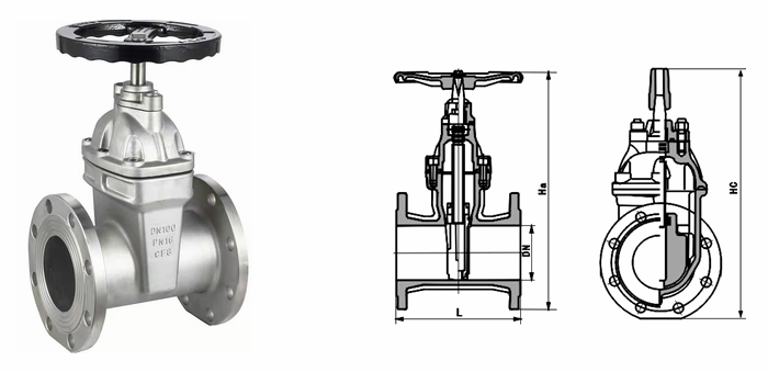 日本欧美久久久久免费播放网