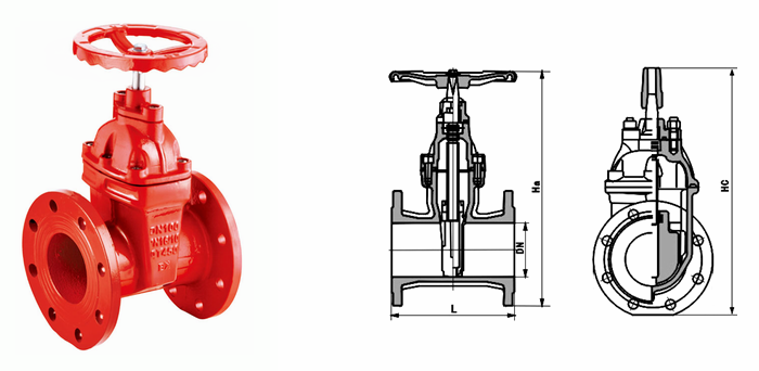 日本欧美久久久久免费播放网