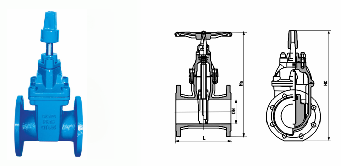 日本欧美久久久久免费播放网