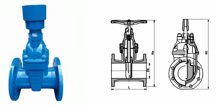 日本欧美久久久久免费播放网
