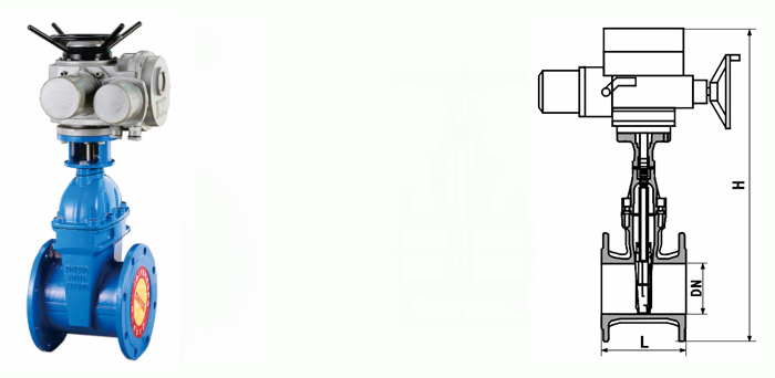 日本欧美久久久久免费播放网