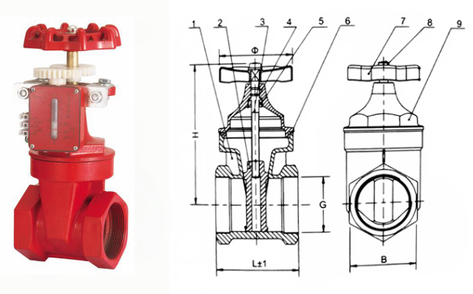 日本欧美久久久久免费播放网