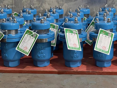 日本欧美久久久久免费播放网