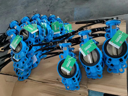 日本欧美久久久久免费播放网