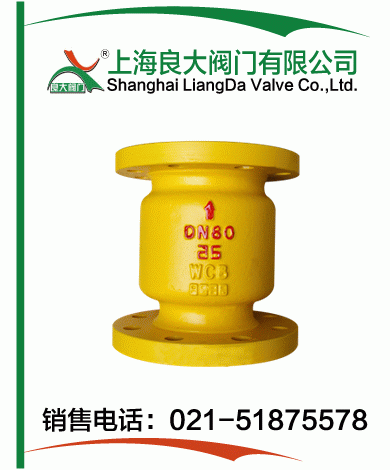 氨用立式止回阀 氨用立式止回阀